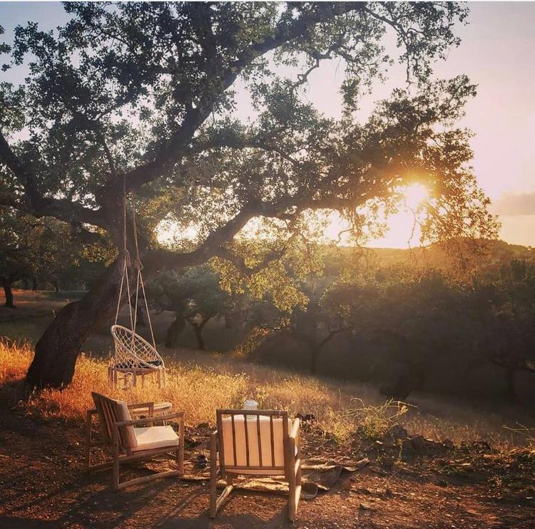 Vila La Siesta Del Naranjo Monesterio Exteriér fotografie